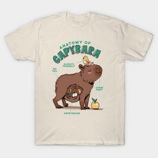 Funny Capybara Anatomy T-Shirt